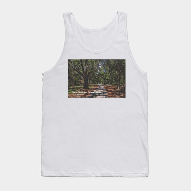 Cumberland Island National Seashore, Georgia Tank Top by Gestalt Imagery